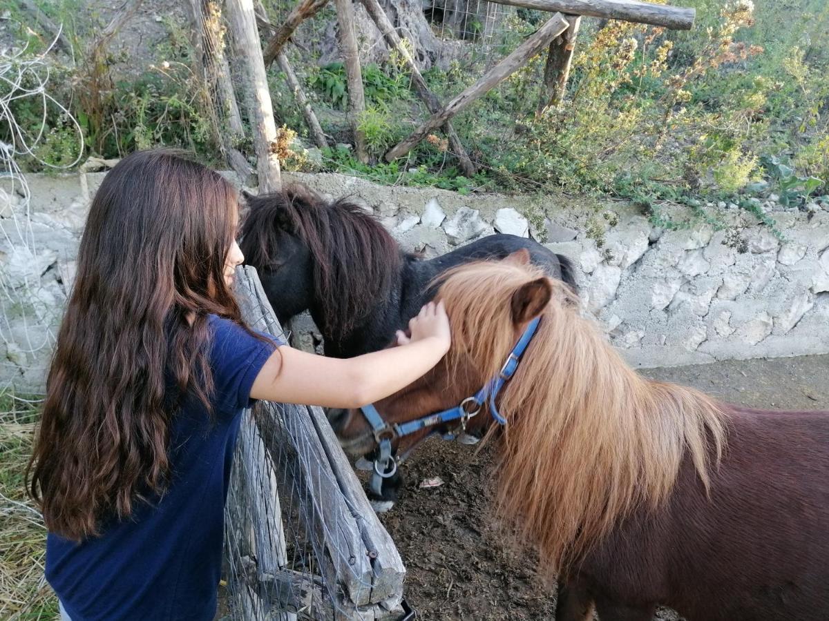Agriturismo Valle Dei Gelsi ペスキチ エクステリア 写真