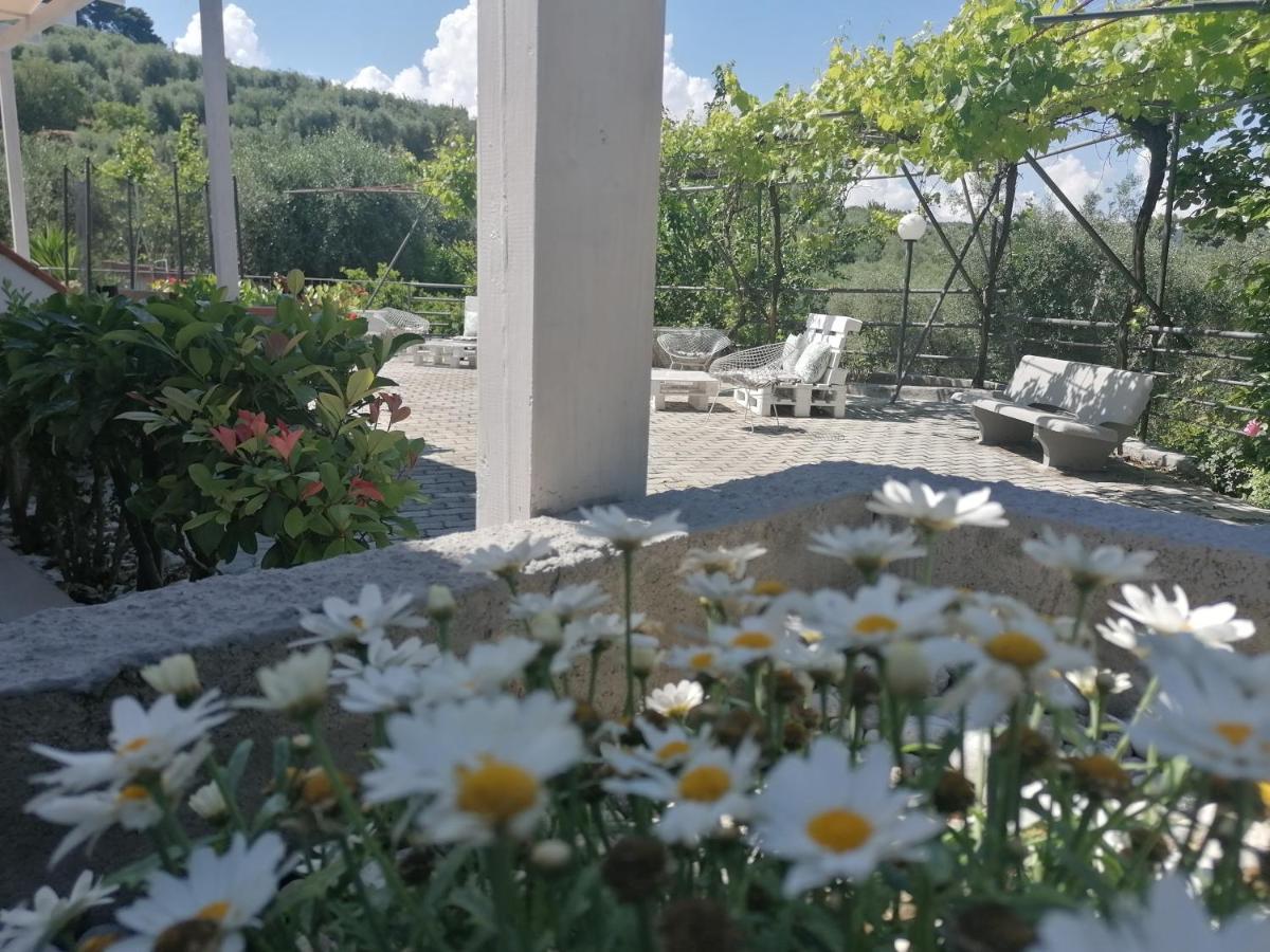 Agriturismo Valle Dei Gelsi ペスキチ エクステリア 写真