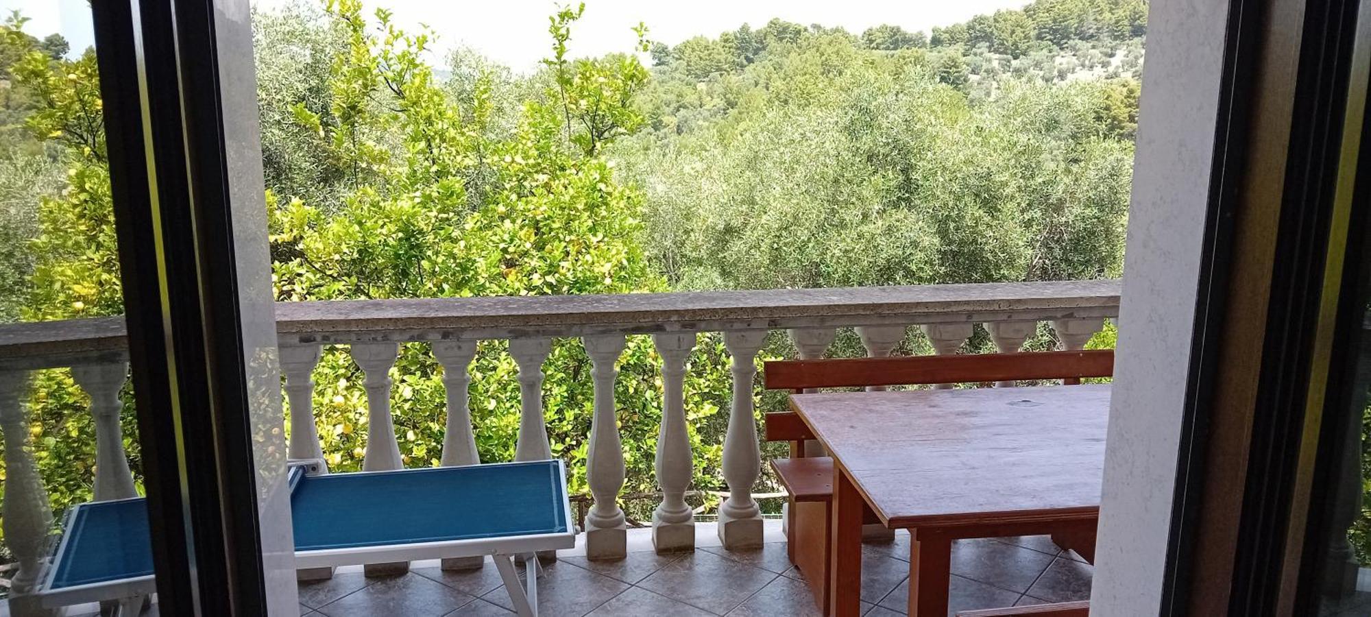 Agriturismo Valle Dei Gelsi ペスキチ 部屋 写真